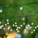Warm glowing bulbs in nature setting