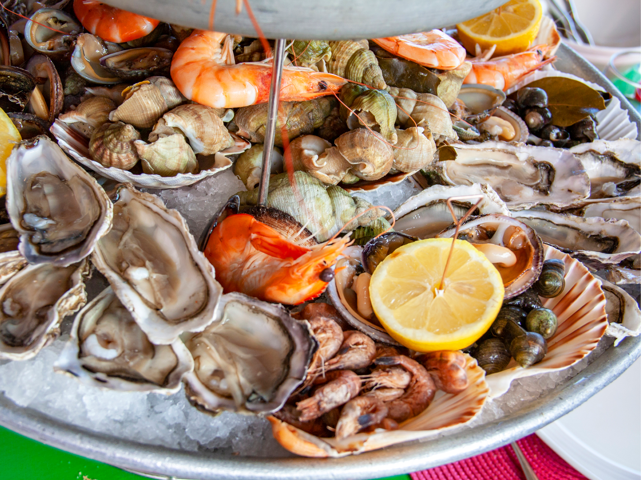 Fresh seafood assortment with clams and prawns