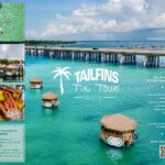 Tailfins Destin: Best Locals Sports Bar